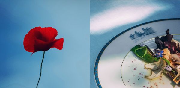 Image coupée en 2 : coquelicot à gauche et plat gastronomique à droite