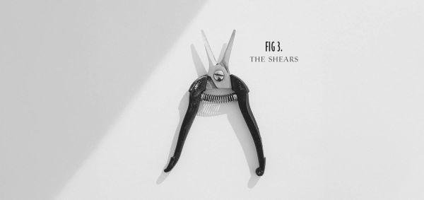 canon_treasures_resize_fig3