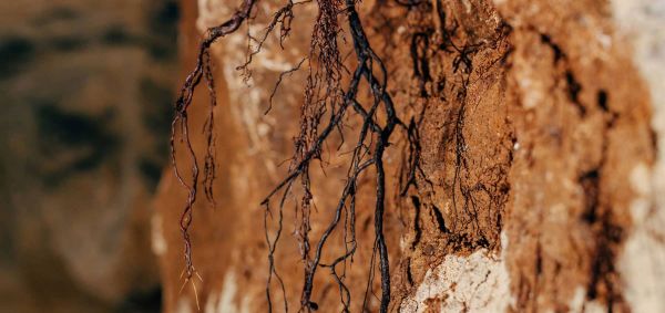 Gros plan sur de l'argile