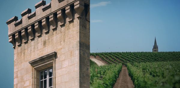 Image coupée en 2 : partie du bâtiment et du toit du Château à gauche et vignes à droite