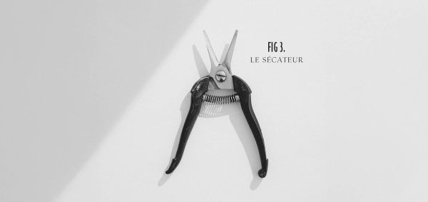 canon_treasures_resize_fig3