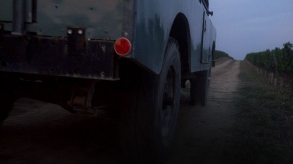 Arrière d'une voiture dans les vignes