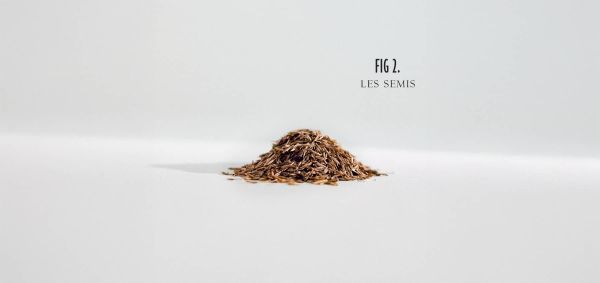 canon_treasures_resize_fig2