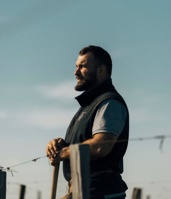 vigneron-chateau-canon-regard-vignes