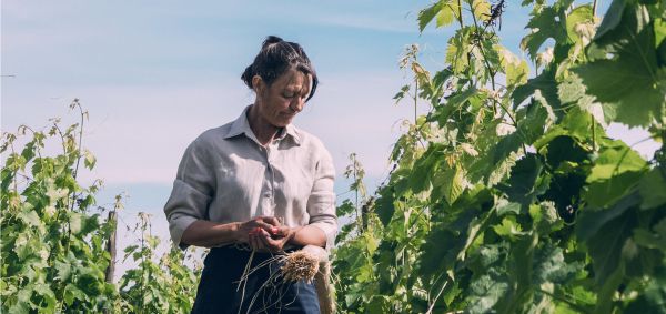 Femme dans les vignes